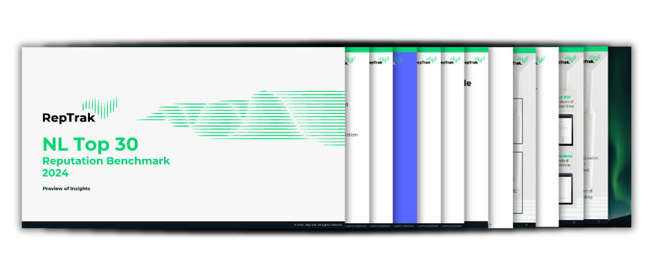 NL Top 30 Reputation 2024 Report Layout